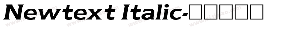 Newtext Italic字体转换